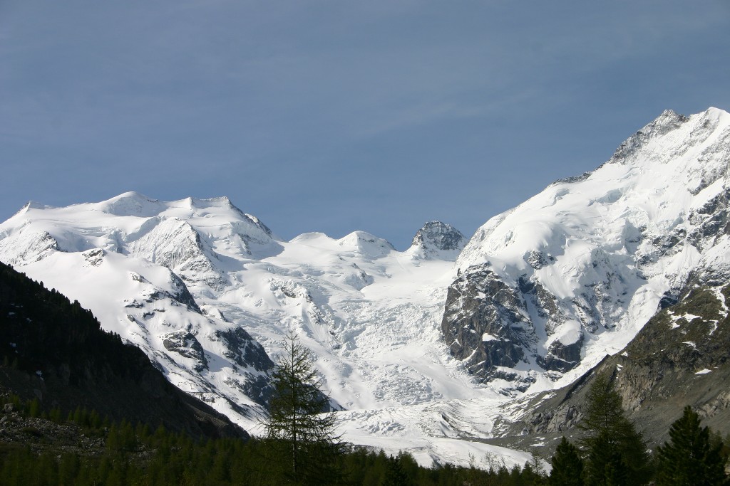 da determinare (Antrodia alpina)